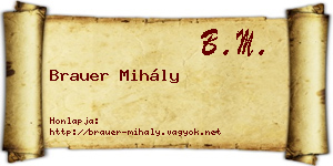 Brauer Mihály névjegykártya